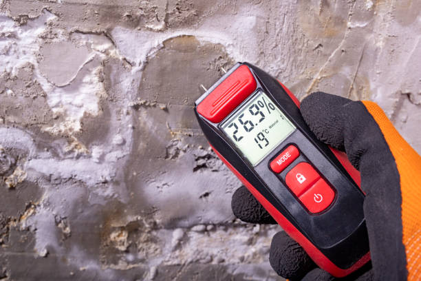 Reliable Fort Hall, ID Mold Removal Solutions